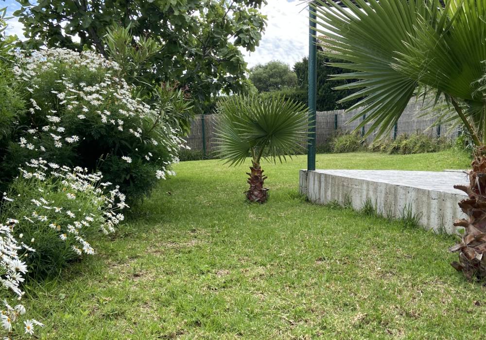 Archivo_013