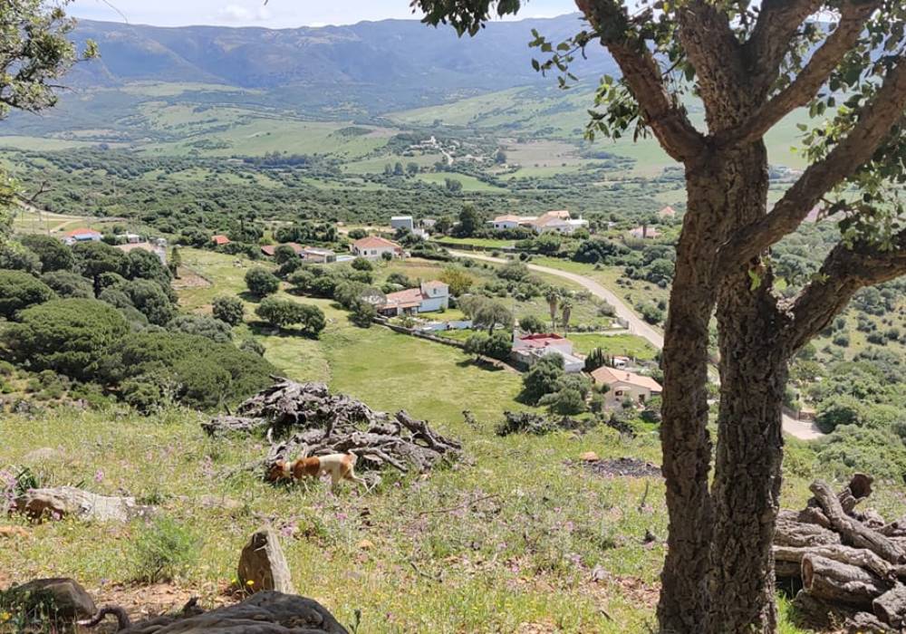 Hotel Rural Tarifa